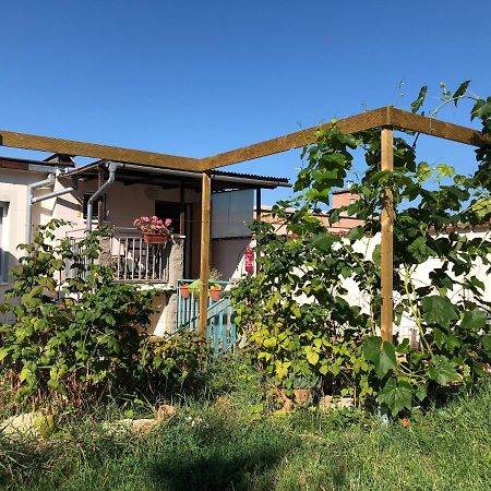 Ubytovani U Jerabku - Parkovani Zdarma Mikulov Exterior foto