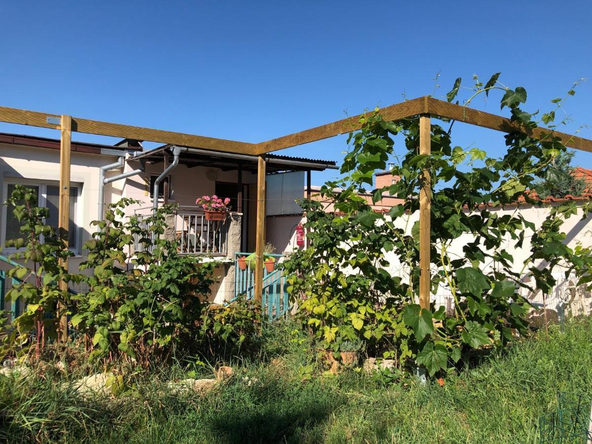 Ubytovani U Jerabku - Parkovani Zdarma Mikulov Exterior foto