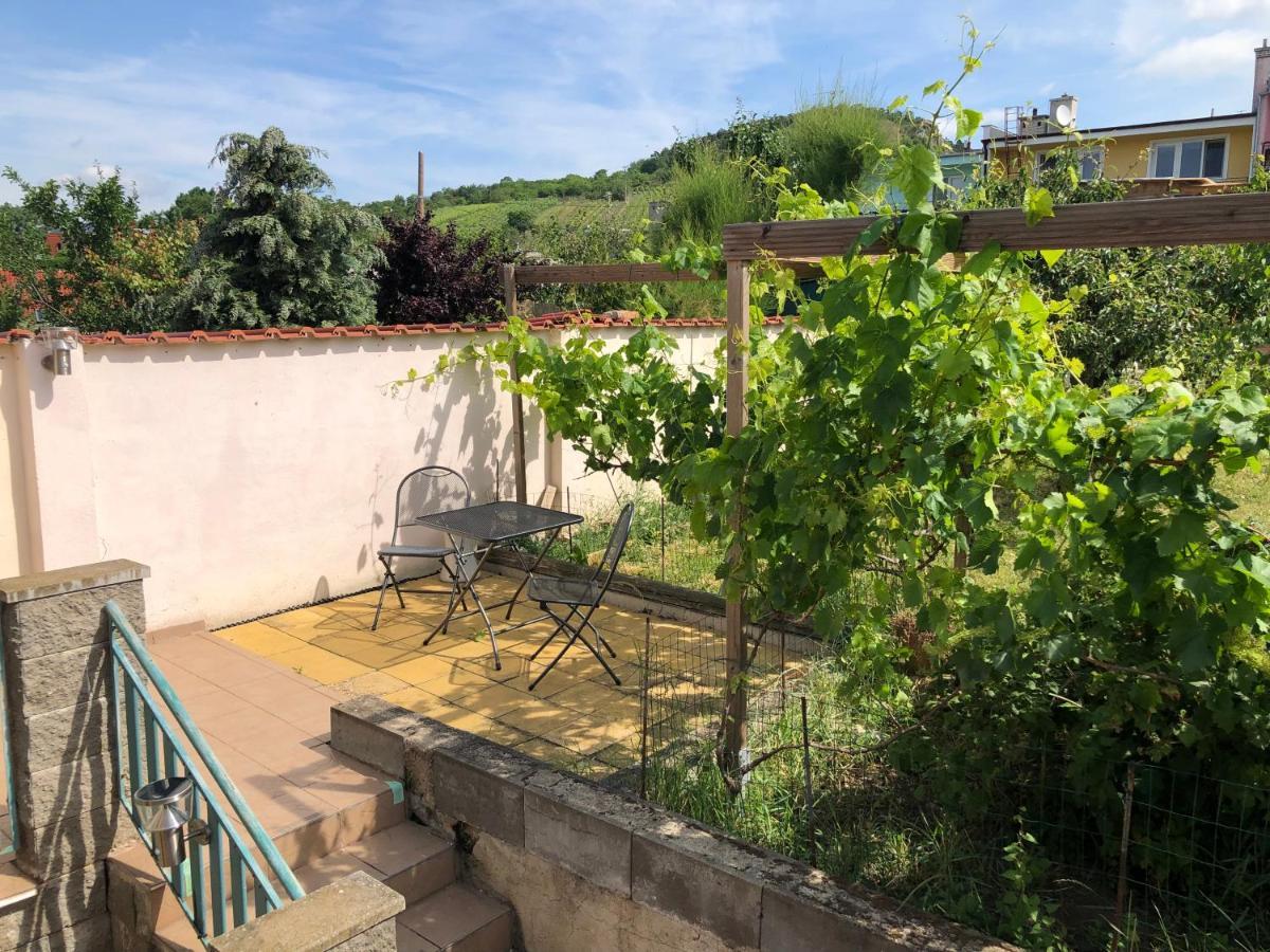Ubytovani U Jerabku - Parkovani Zdarma Mikulov Exterior foto