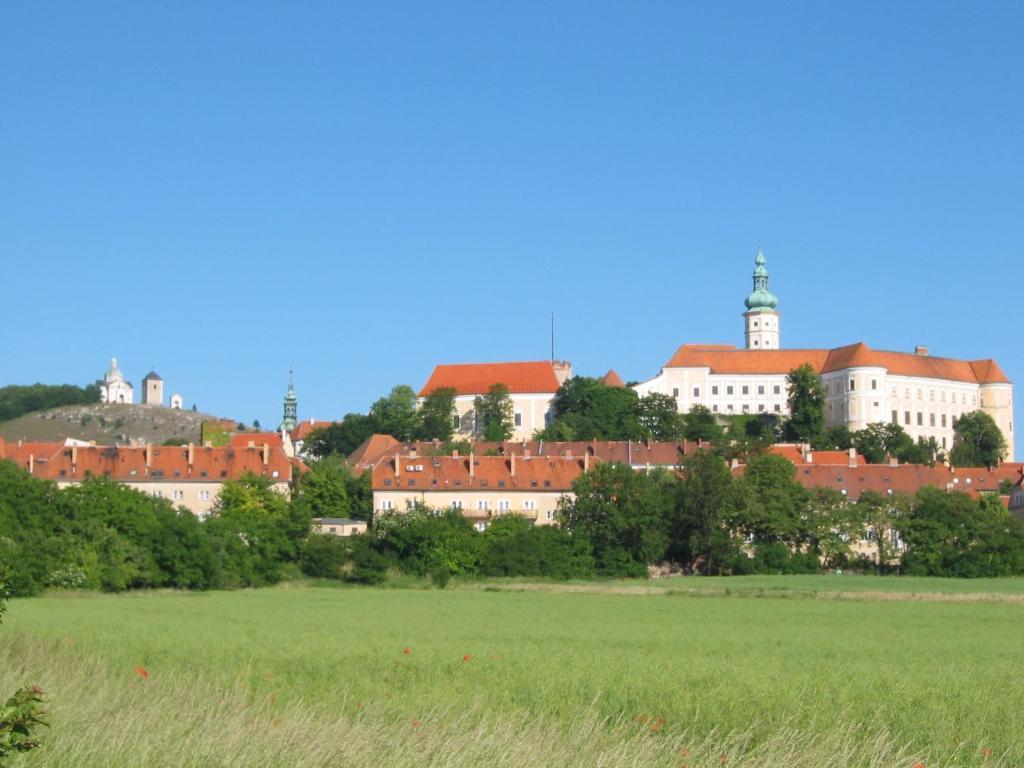 Ubytovani U Jerabku - Parkovani Zdarma Mikulov Zimmer foto